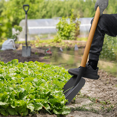 “Choosing the Right Tool: Shovels vs. Spades in Gardening”